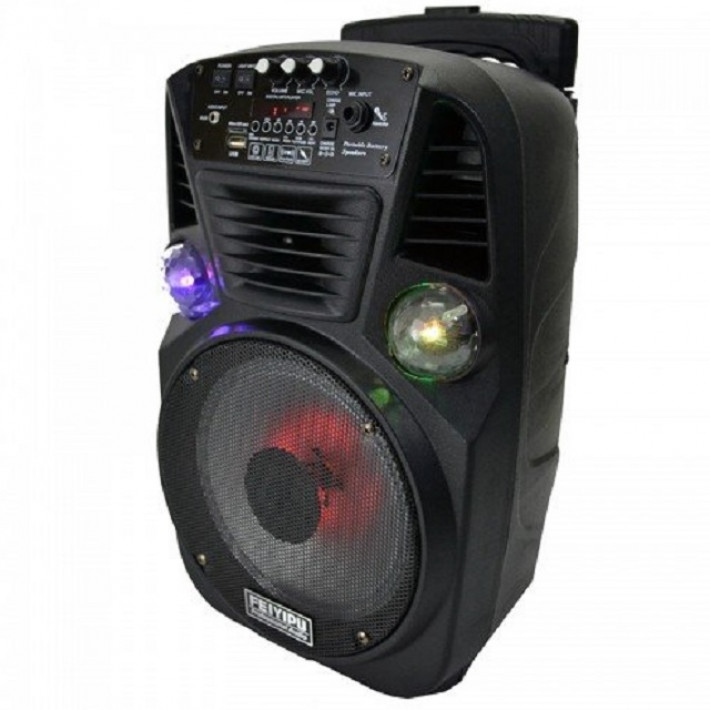 Kompakt újratölthető karaoke hangszóró FEIYIPU ES-8 8 "300W 1 mikrofonnal