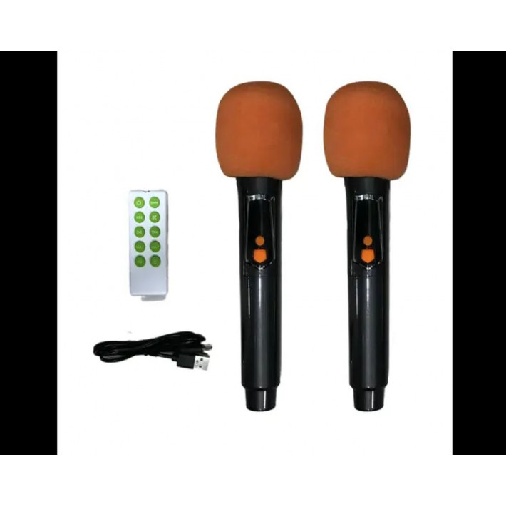 Brodu BTS-1989 Bluetooth Karaoke 22″ hangszóró 2 mikrofonnal
